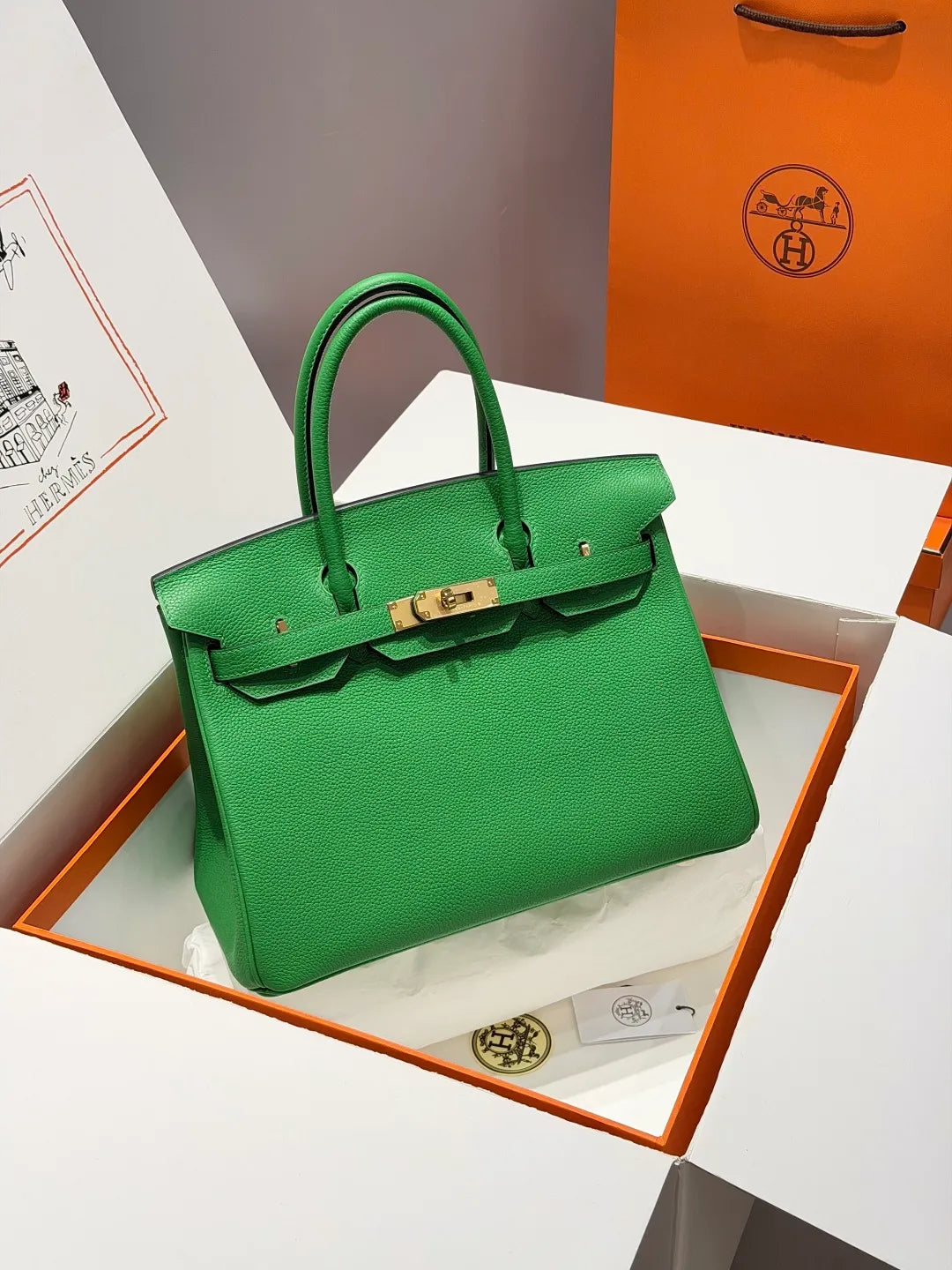 Hermès Birkin 30 Togo Leather Handbag Bamboo Green