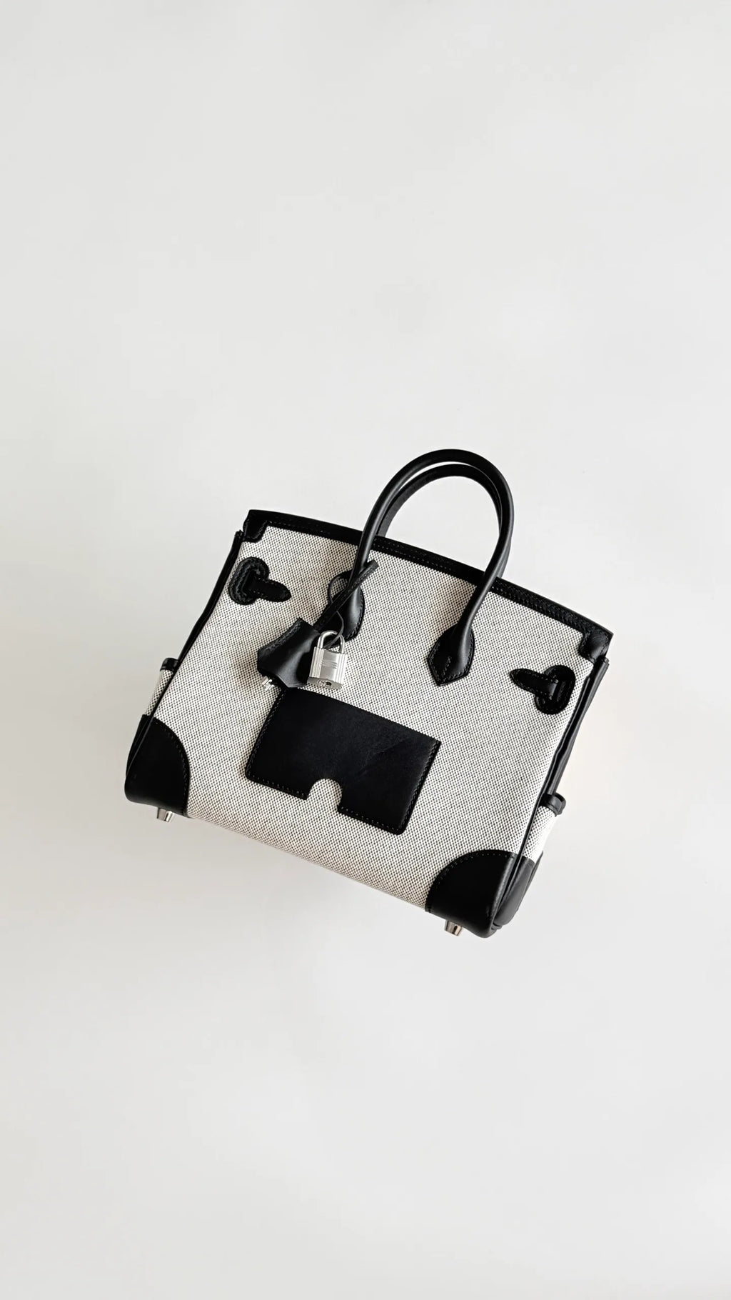 Birkin 25 Cargo Canvas 9.8 in Handbag 805220