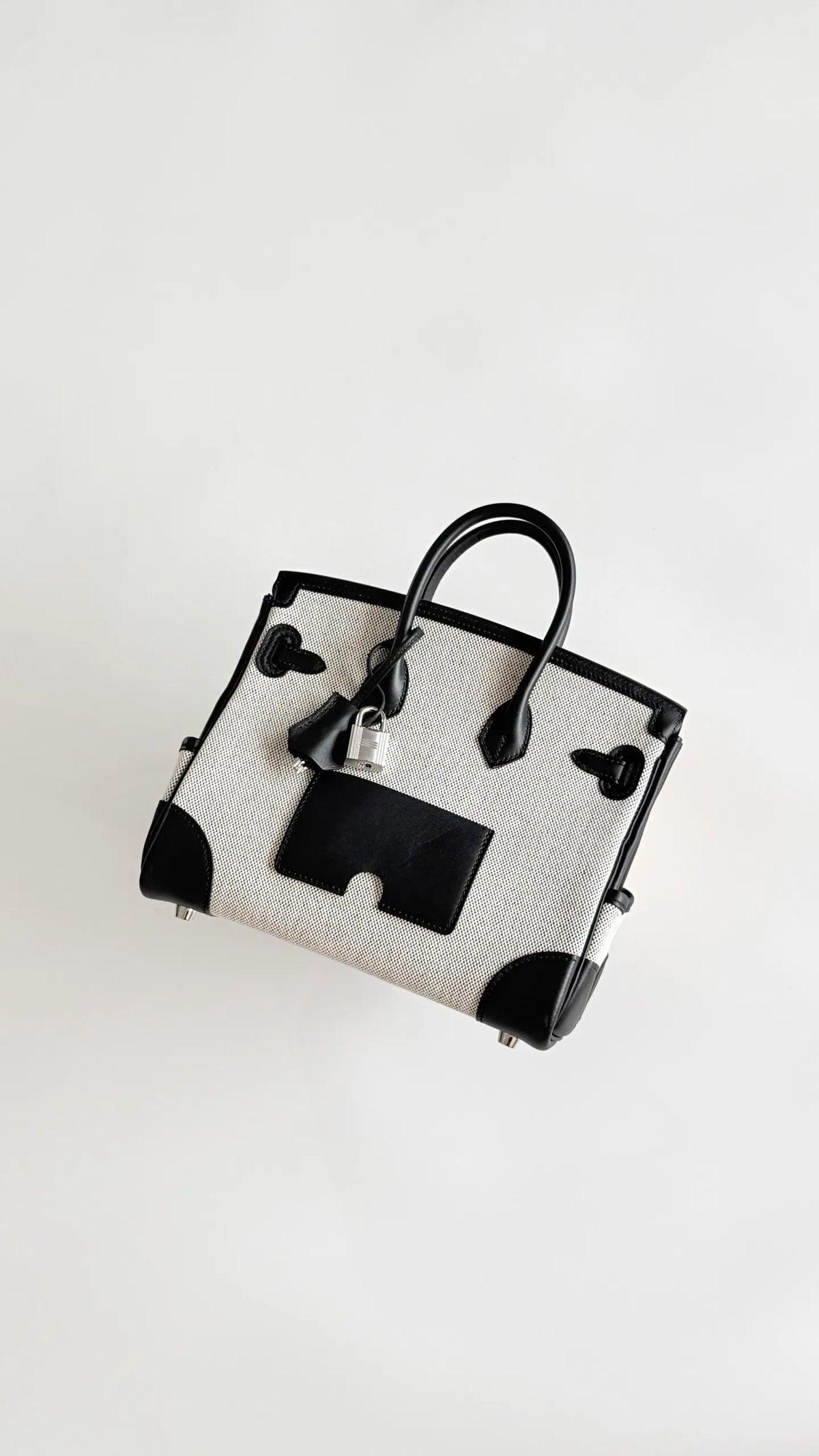 Birkin 25 Cargo Canvas 9.8 in Handbag 805220