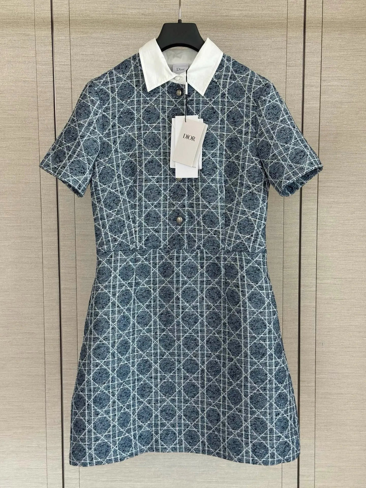 CD Women's Dress