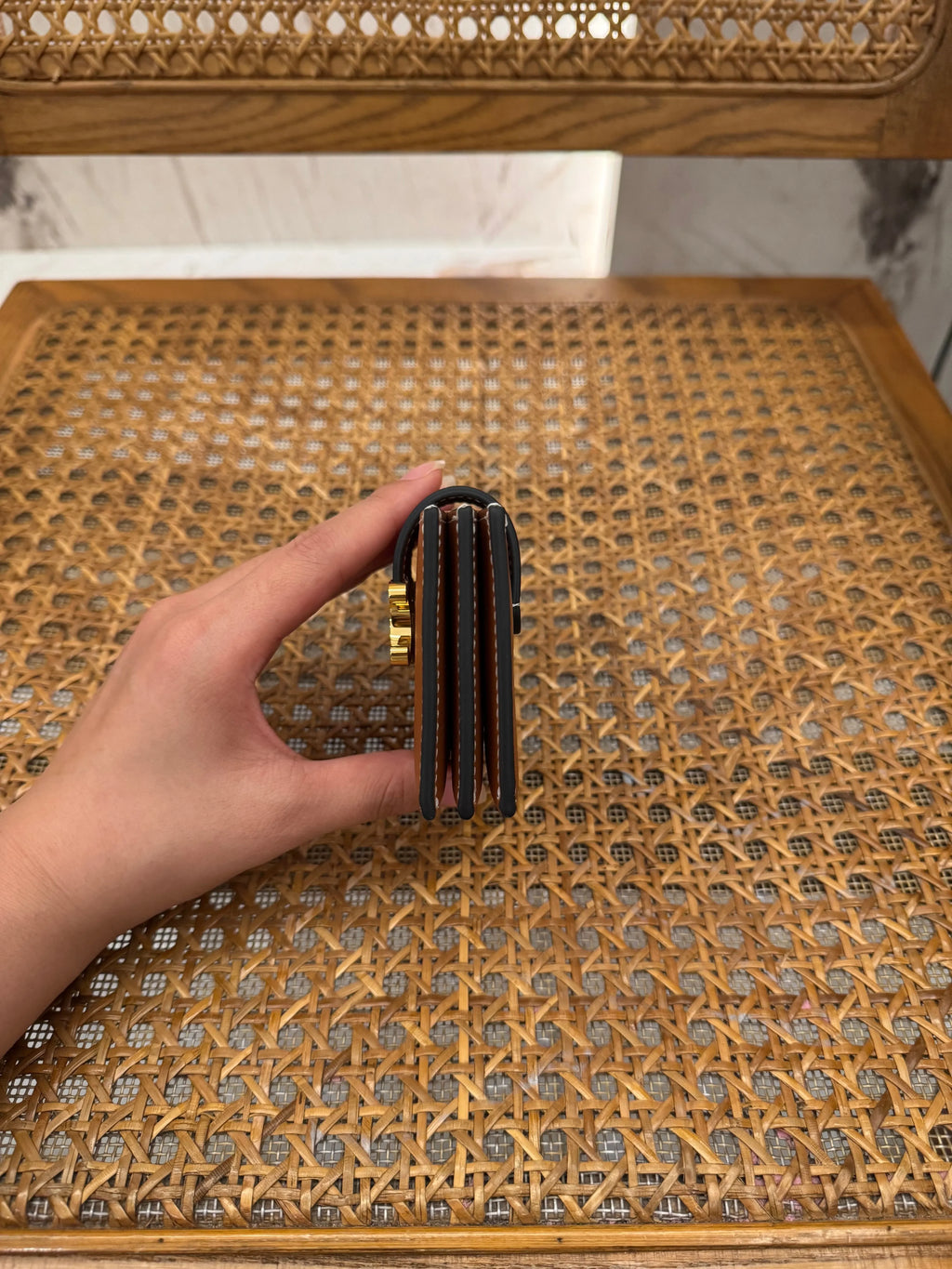 CEL Women's Cel Accordeon Card Holder