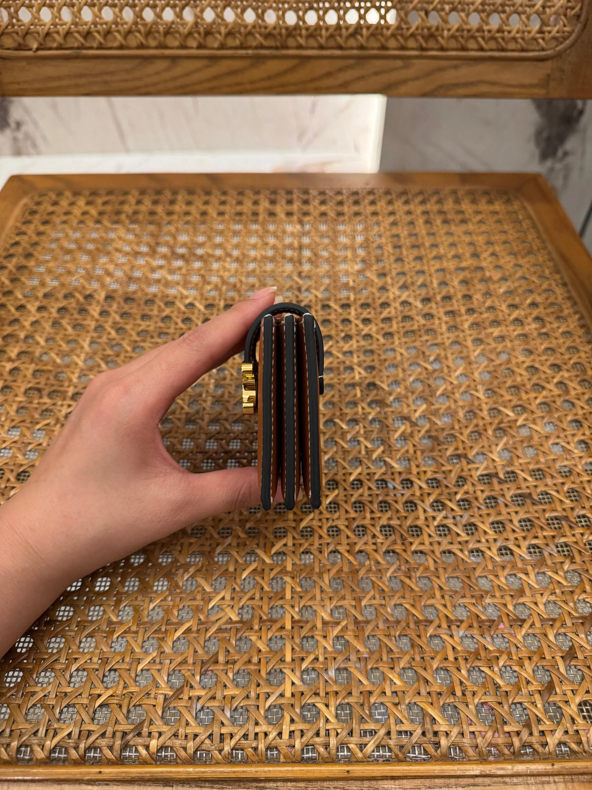 CEL Women's Cel Accordeon Card Holder