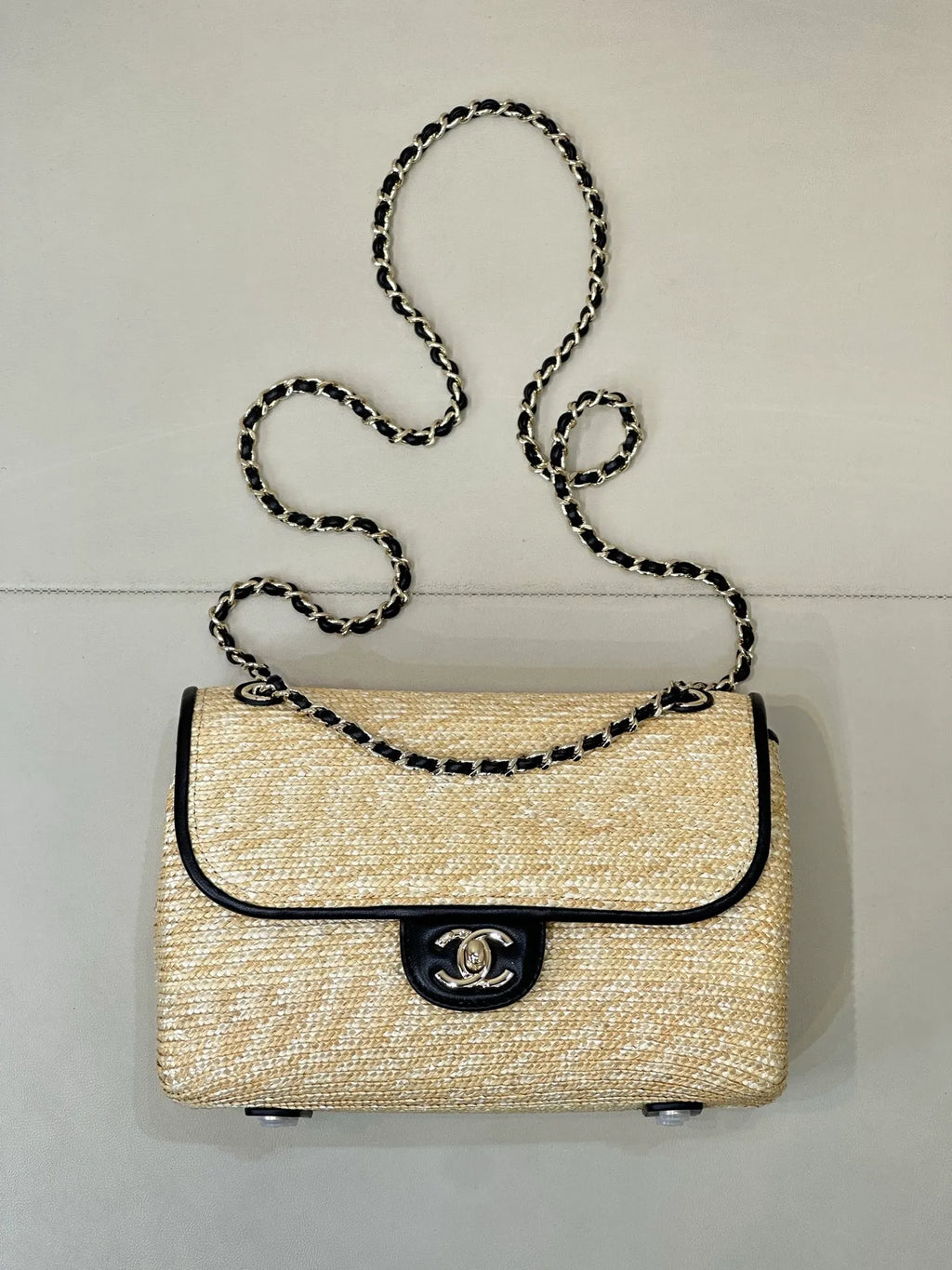 CHANEL 2025/26 Cruise Flap Handbag