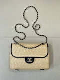 CHANEL 2025/26 Cruise Flap Handbag