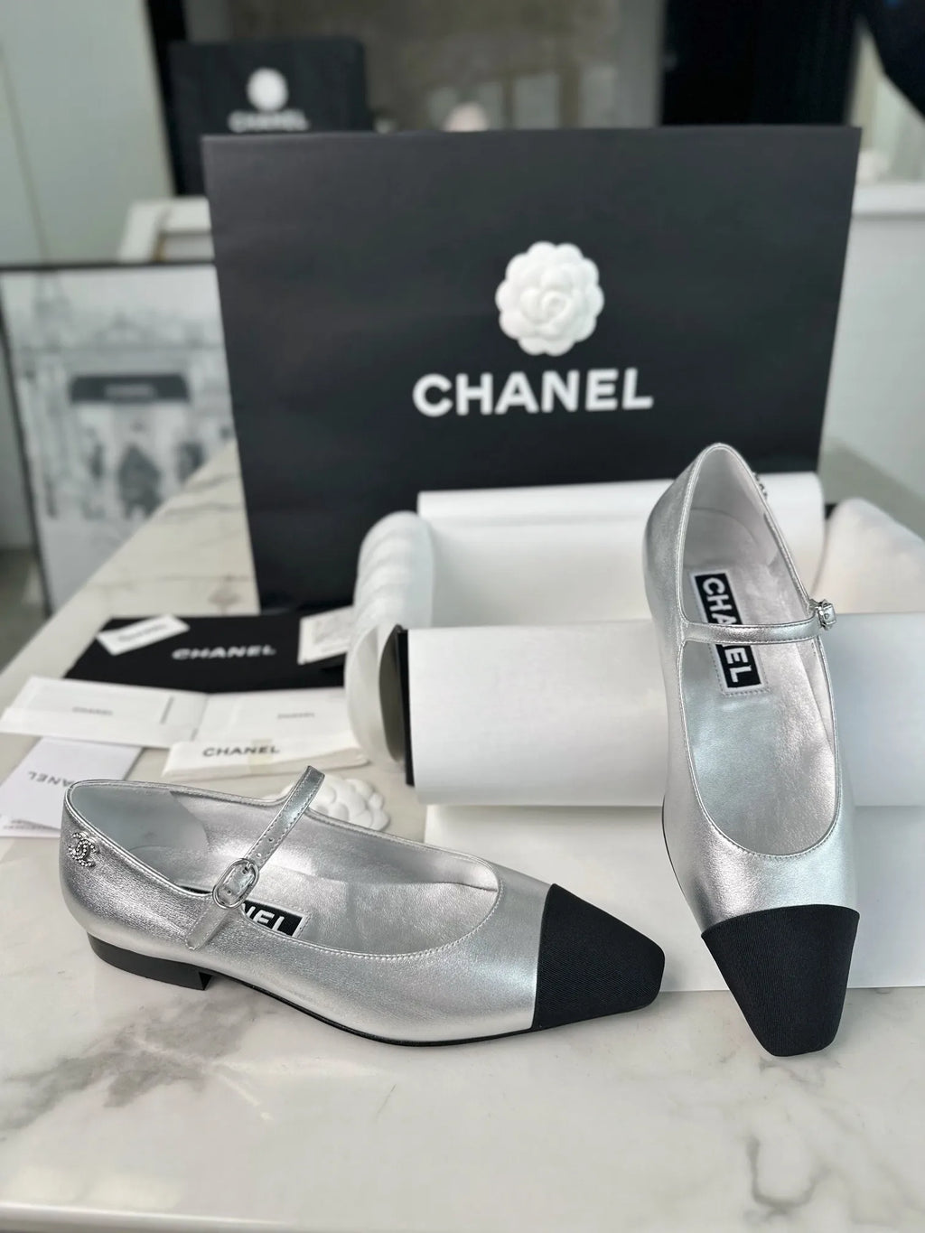 Chanel 241 Silver Flat Mary Jane 543480