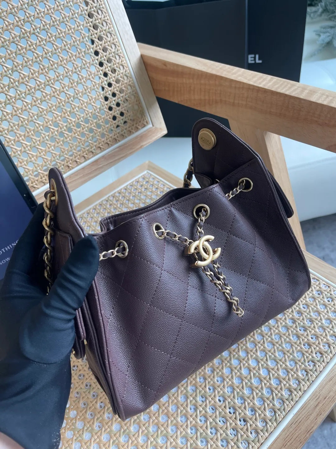 CHANEL 25 Mini Bag