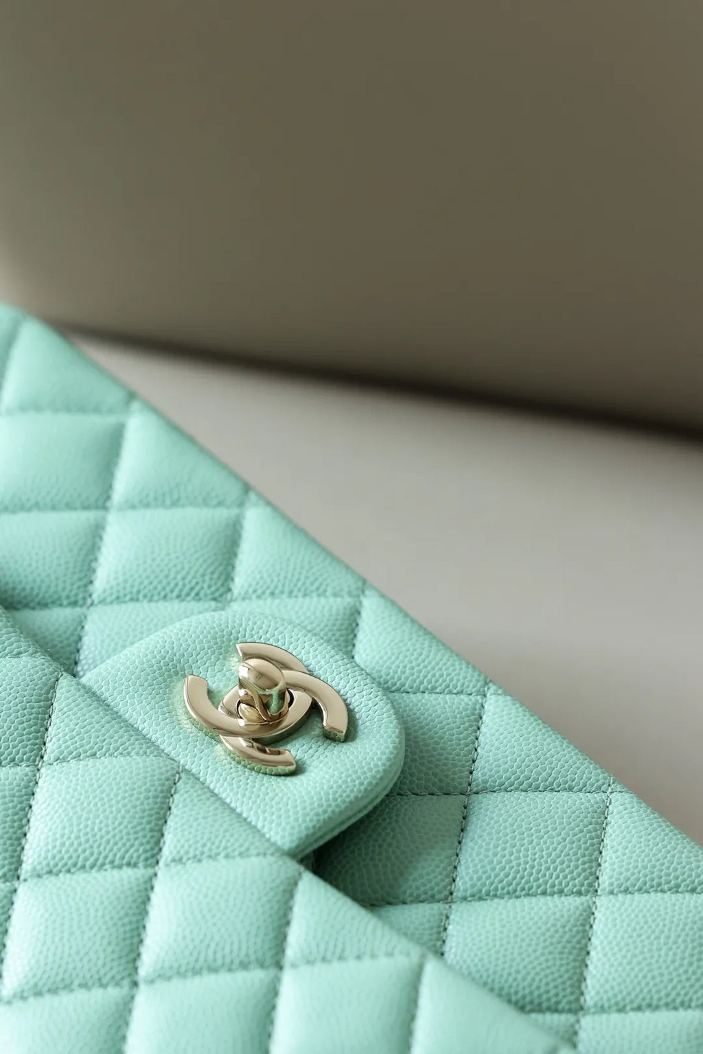 CHANEL Bag