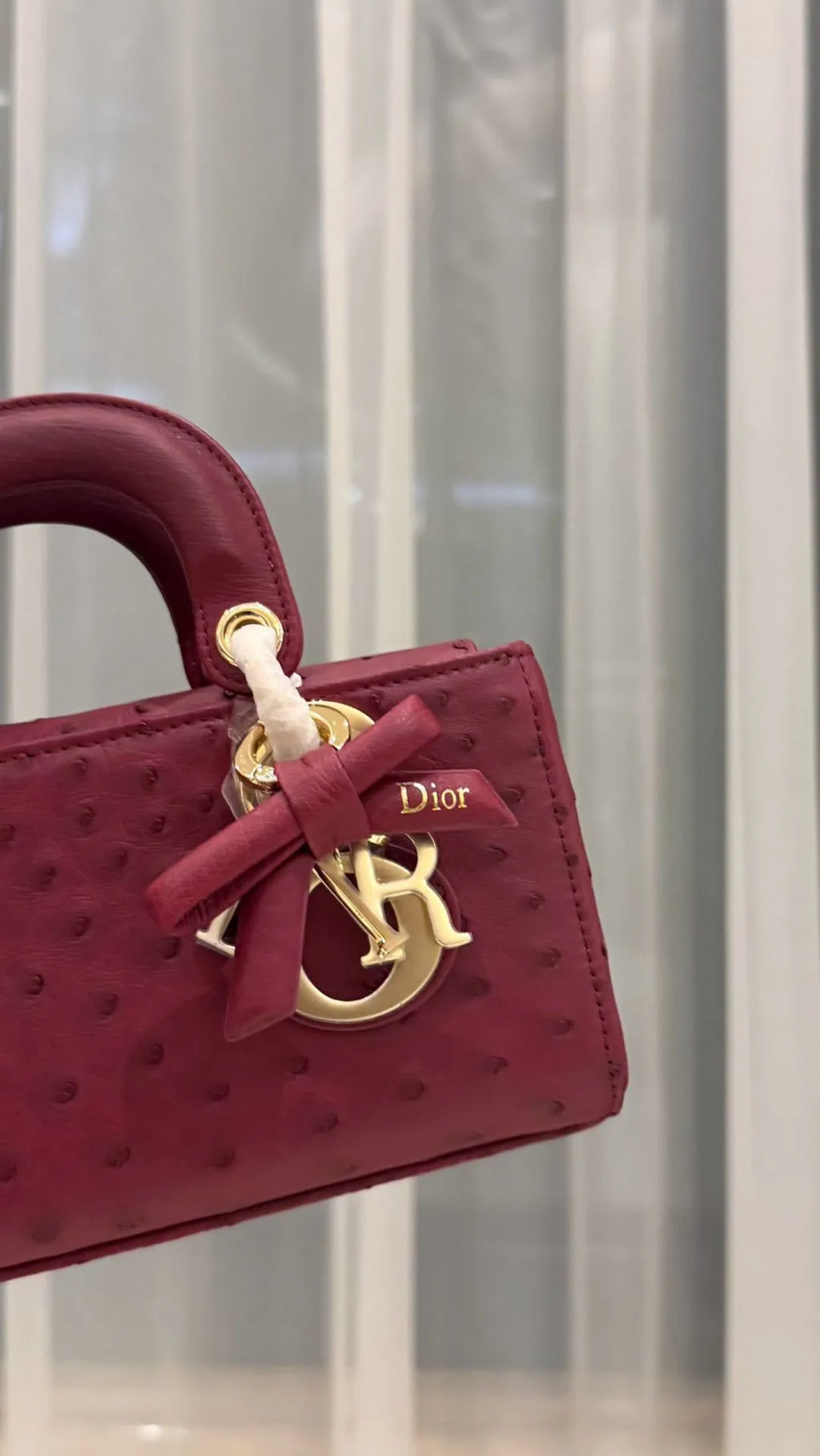 D-Joy Princess Diana Ostrich Leather 7.5 in Handbag 721096