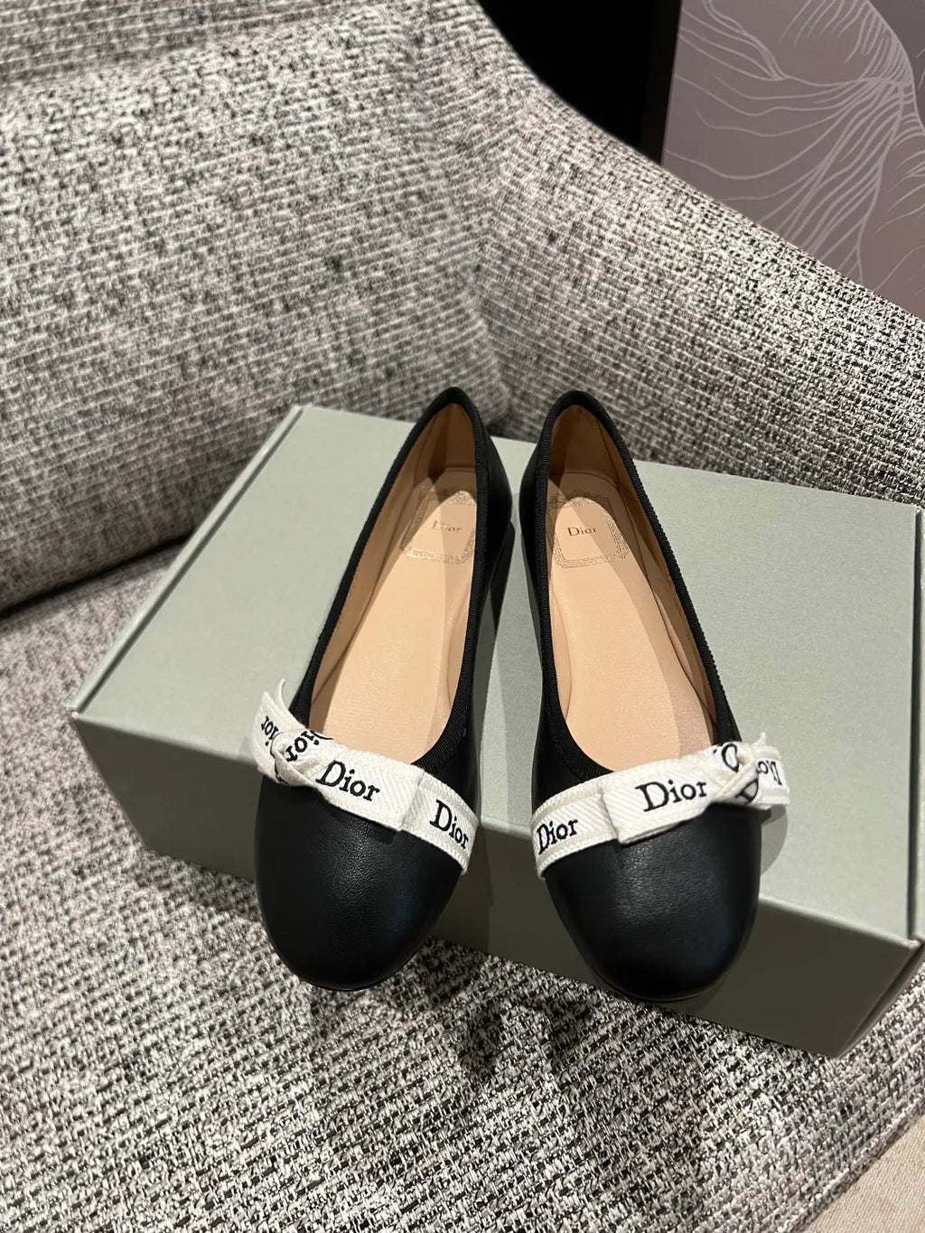 Dior 26 Women's Webbing Ballet Flats