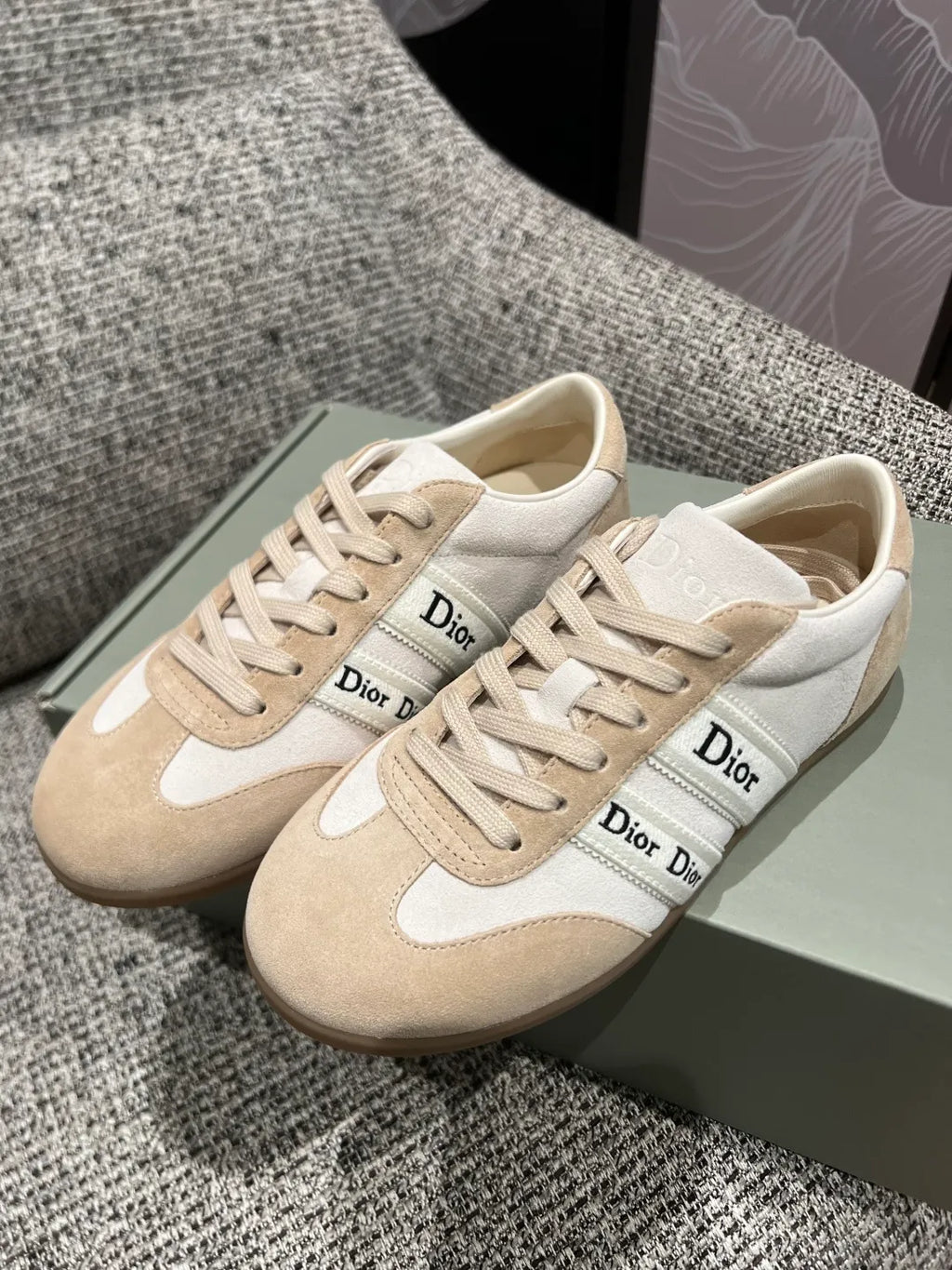 Dior 26Ss Women's Ribbon Embroidered Suede German Training Shoes