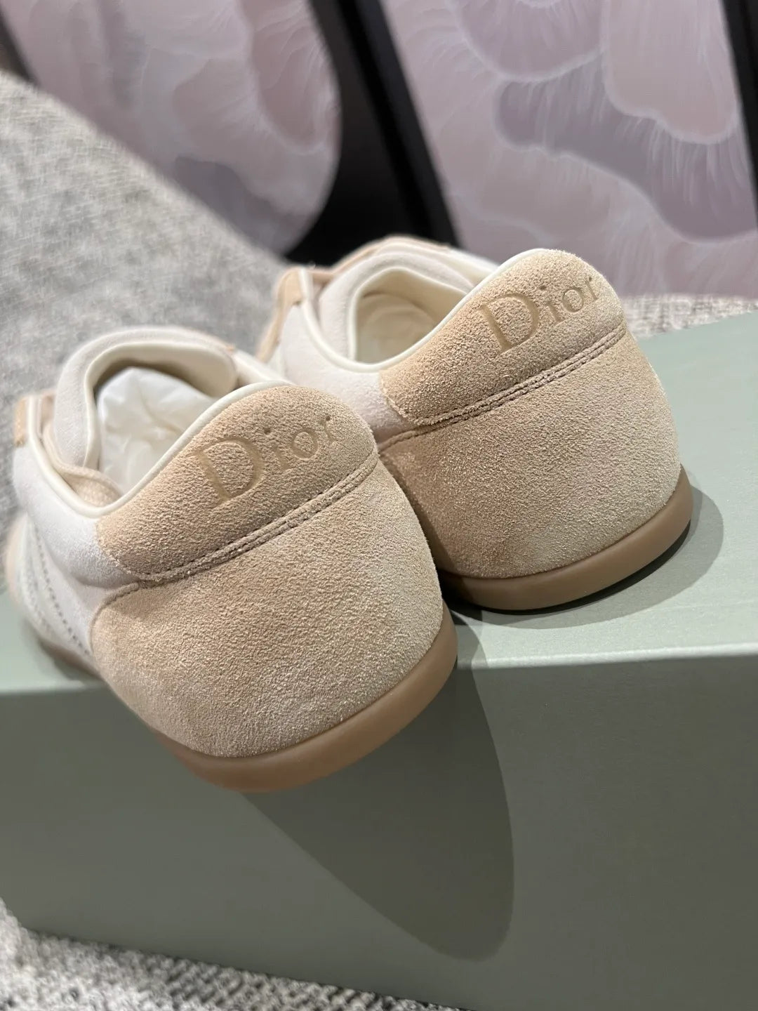 Dior 26Ss Women's Ribbon Embroidered Suede German Training Shoes