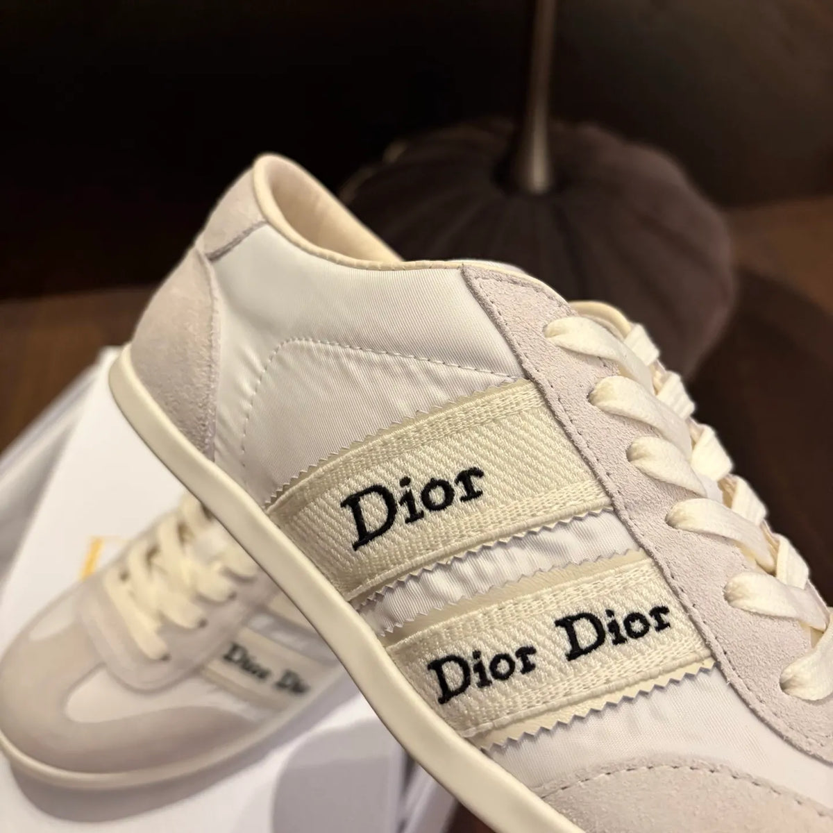 Dior Women's Ribbon Sneakers Technical Fabric Suede Leather 340435