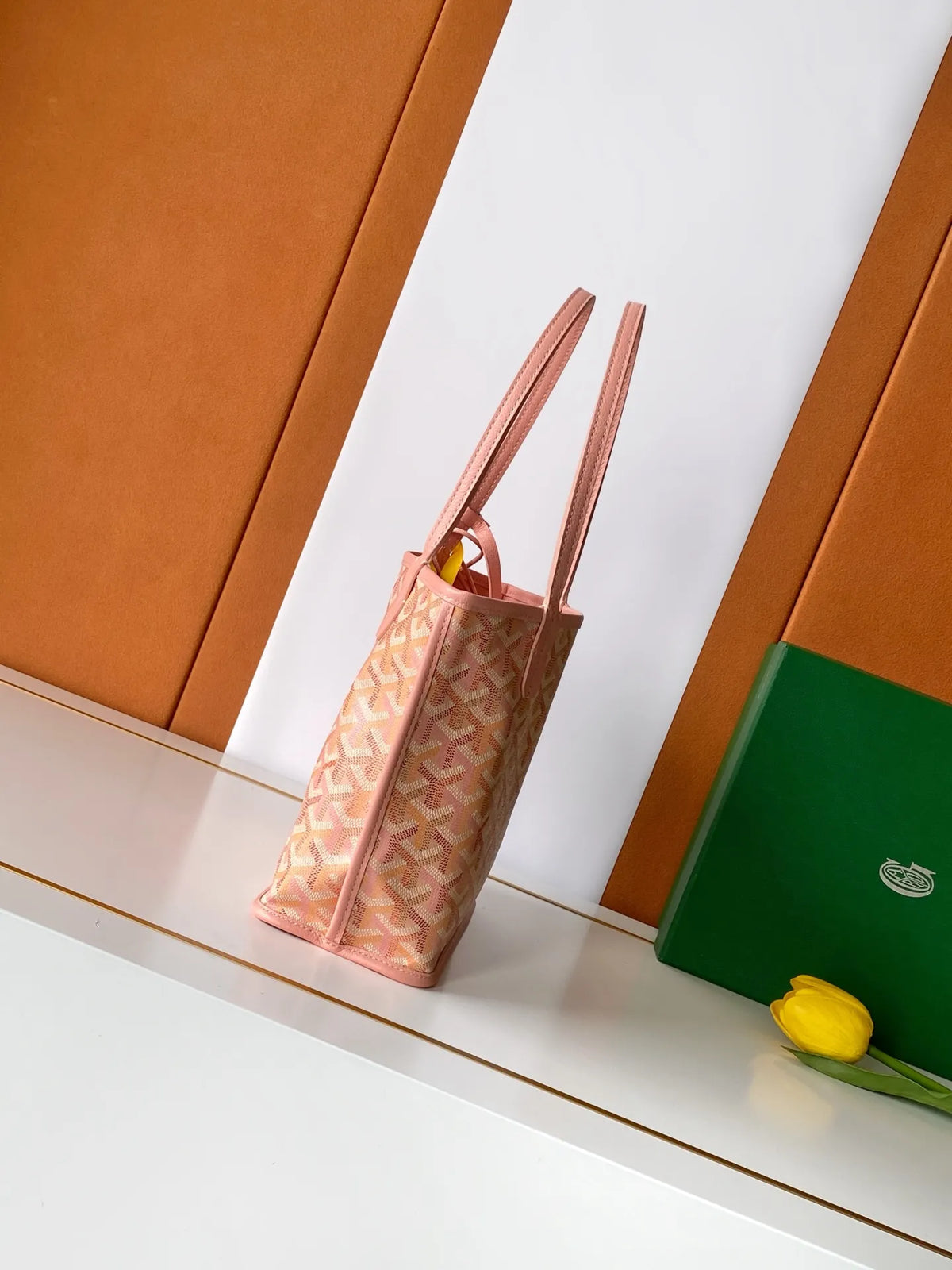 Goyard Anjou Mini Bag Coated Canvas Leather 2321
