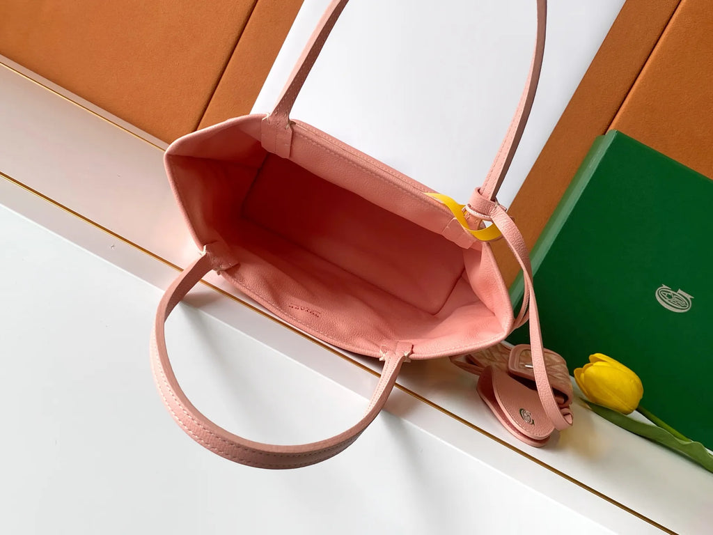 Goyard Anjou Mini Bag Coated Canvas Leather 2321