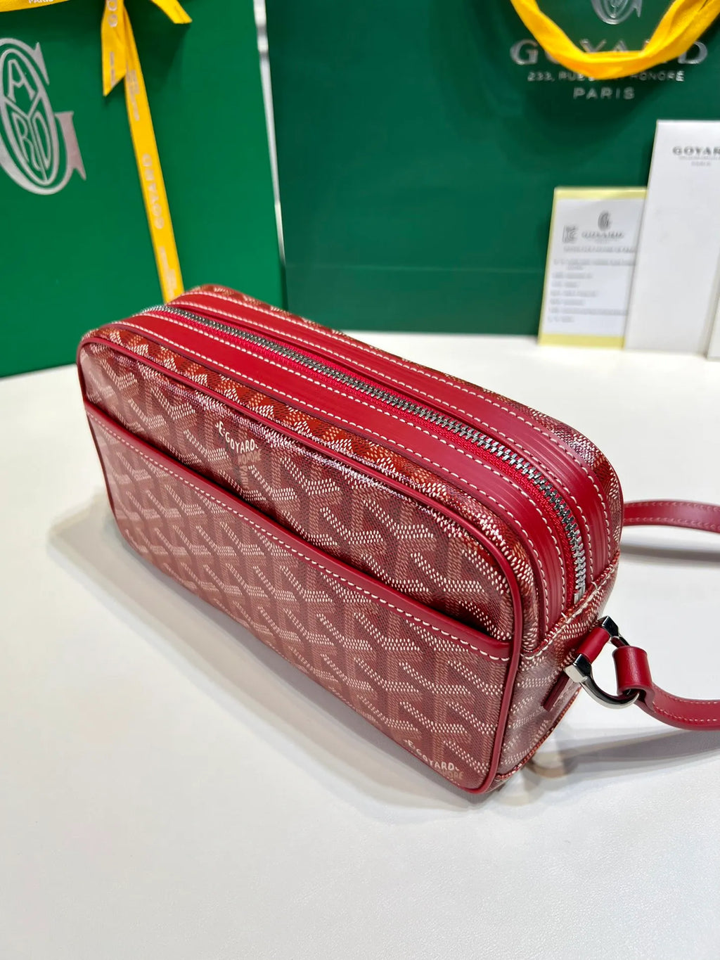 Goyard CapVert Camera Bag Canvas Leather 80180550