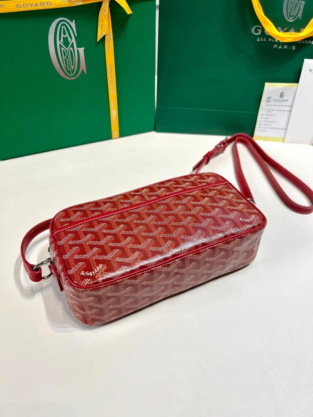 Goyard CapVert Camera Bag Canvas Leather 80180550