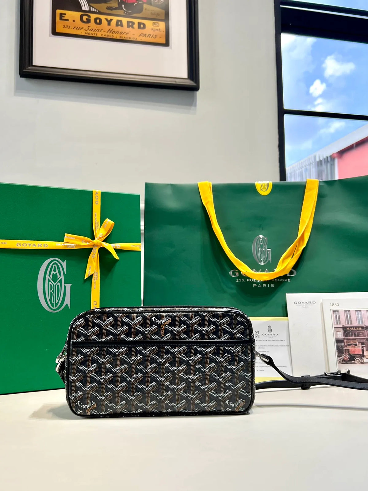 Goyard CapVert Camera Bag Coated Canvas Leather 80180550
