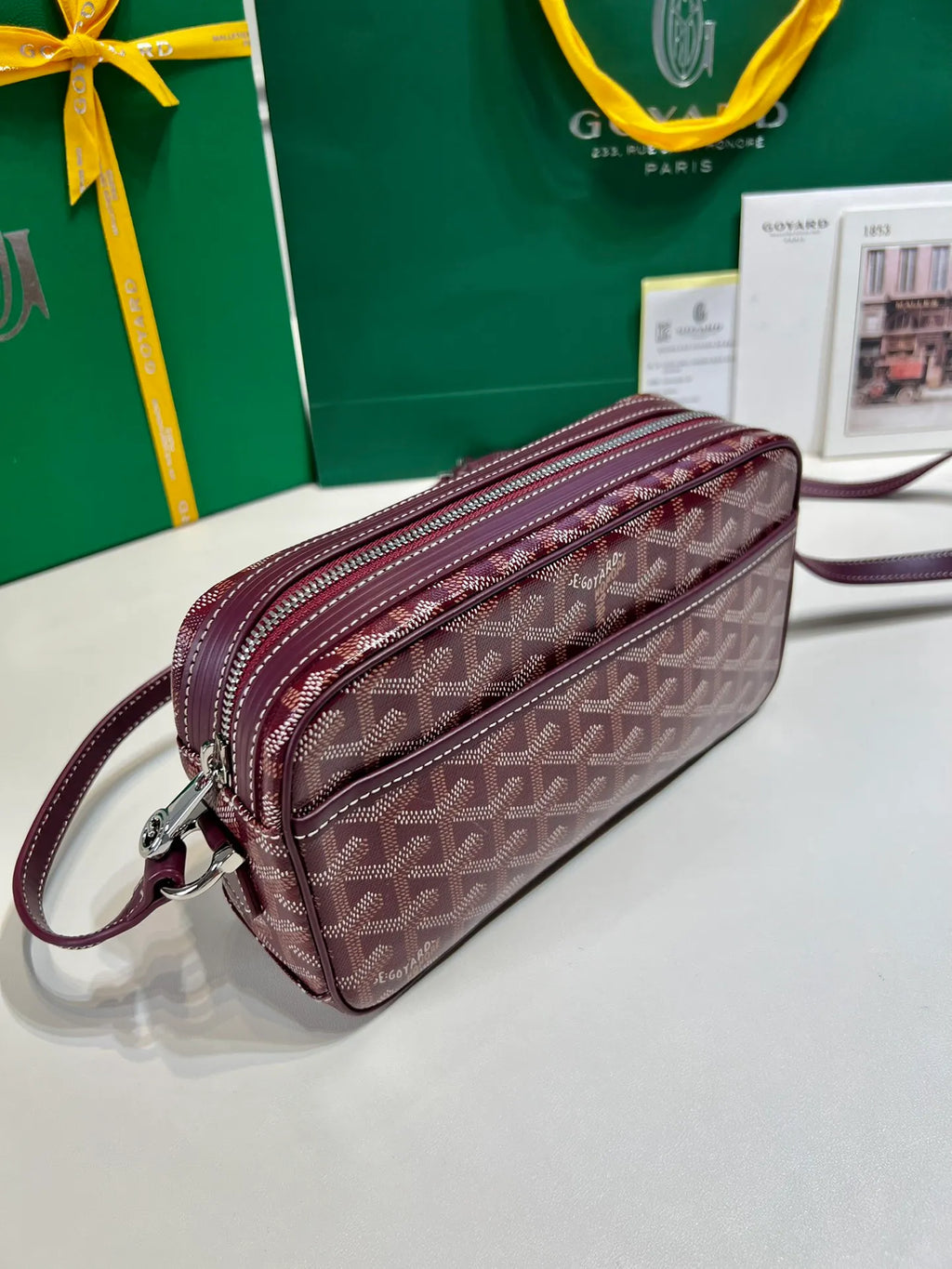 Goyard CapVert Camera Bag Coated Canvas Leather 80180550