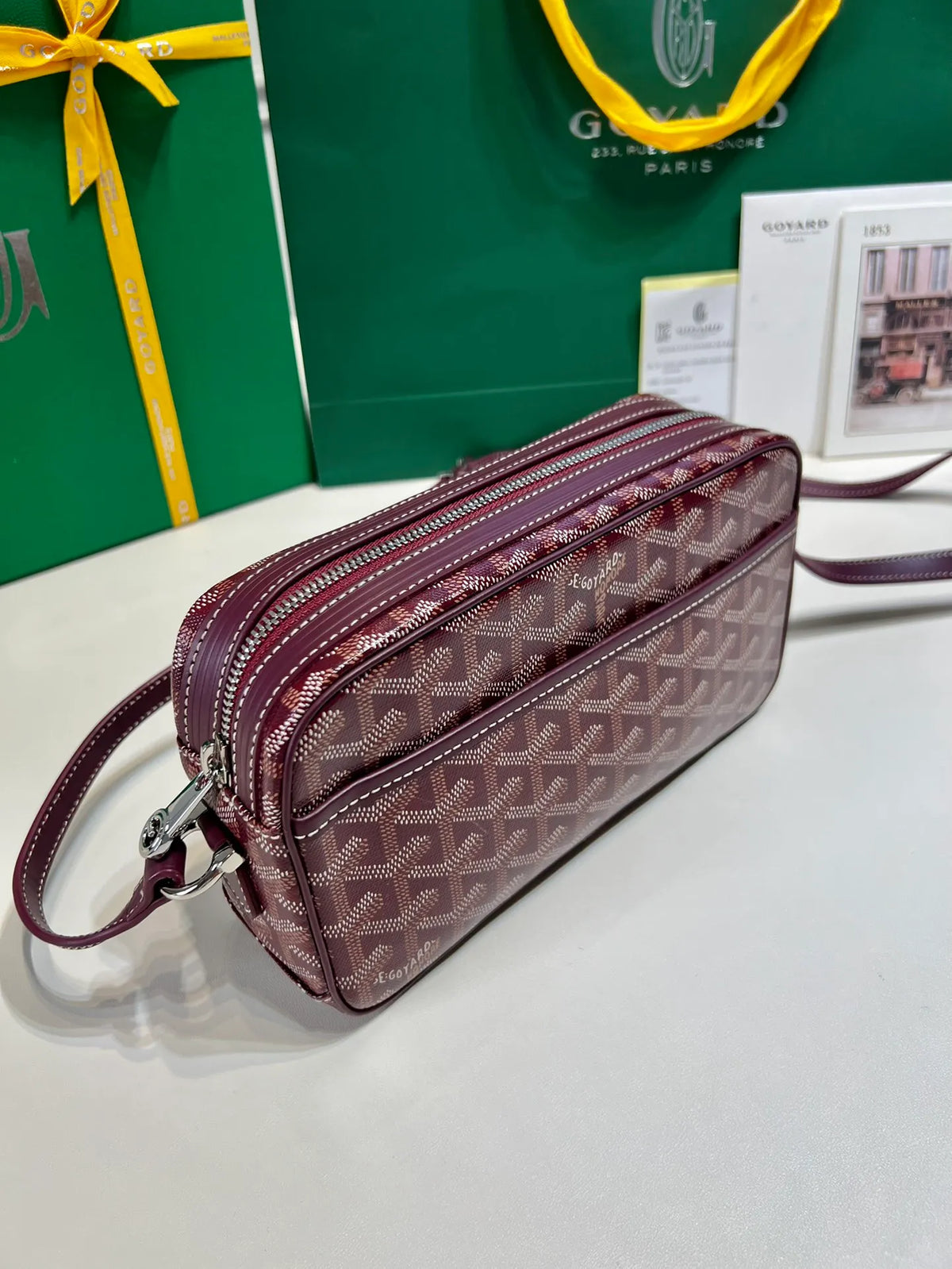 Goyard CapVert Camera Bag Coated Canvas Leather 80180550