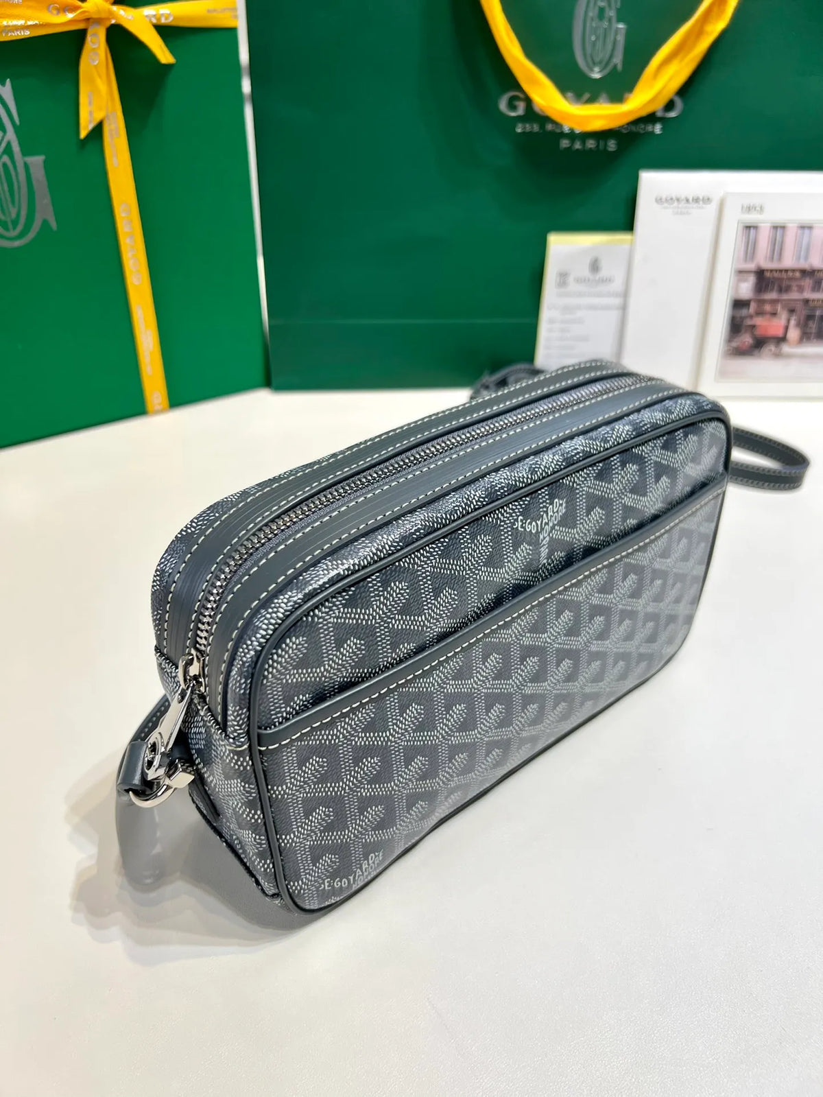 Goyard CapVert Camera Bag Coated Canvas Leather 80180550
