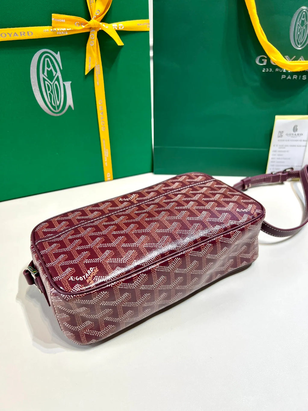 Goyard CapVert Camera Bag Coated Canvas Leather 80180550