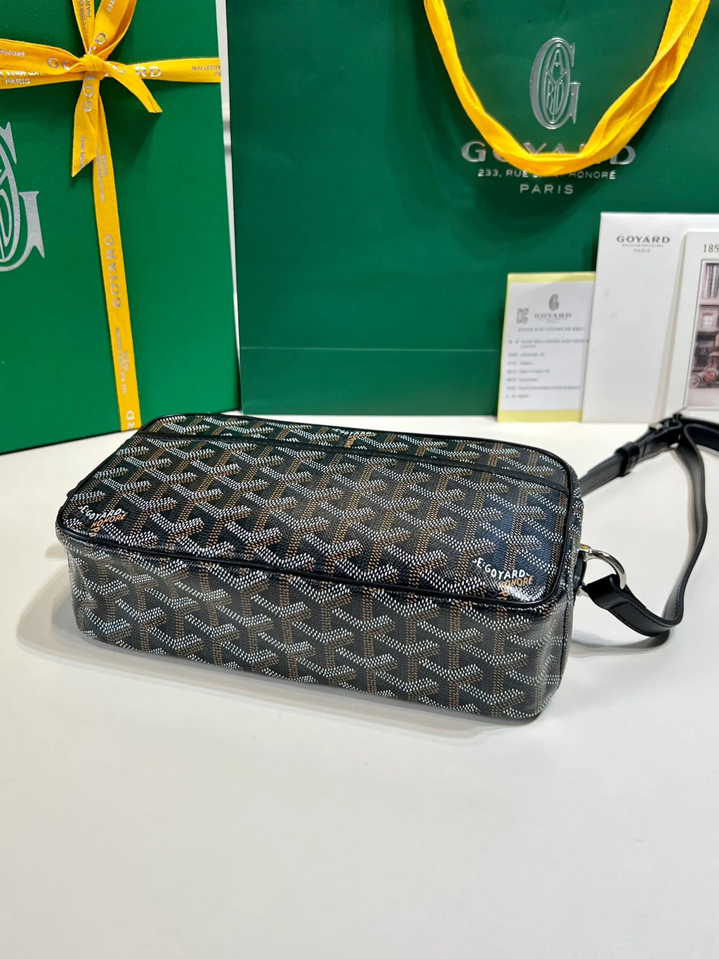 Goyard CapVert Camera Bag Coated Canvas Leather 80180550