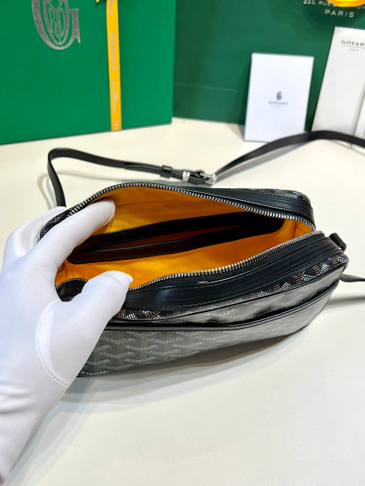 Goyard CapVert Camera Bag Coated Canvas Leather 80180550