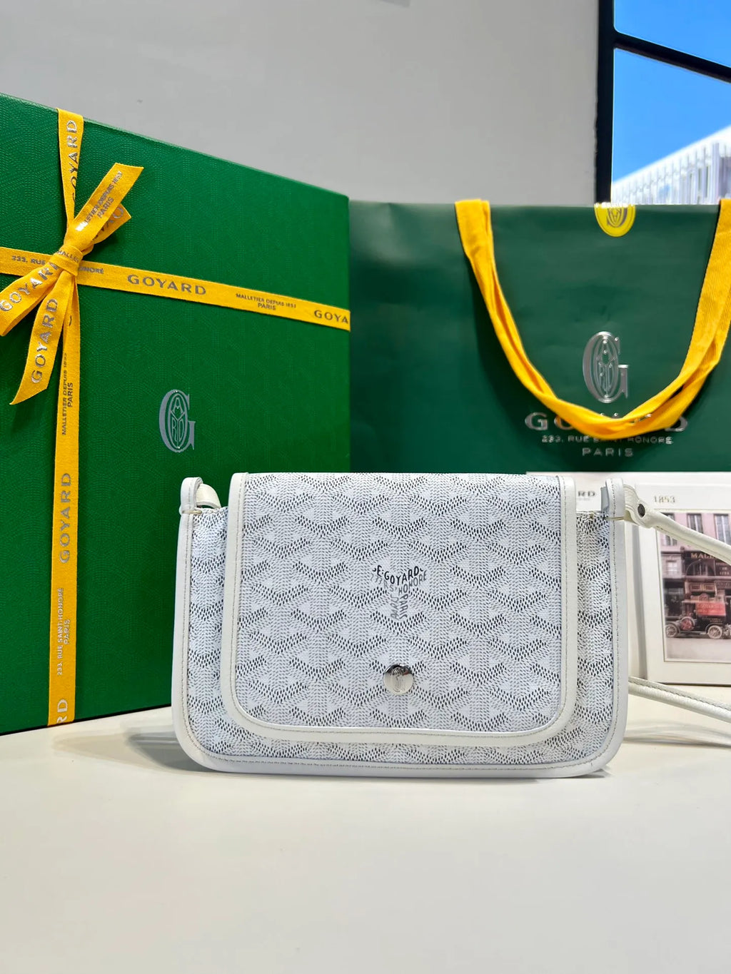 Goyard Plumet Envelope Bag Coated Canvas Leather 8015