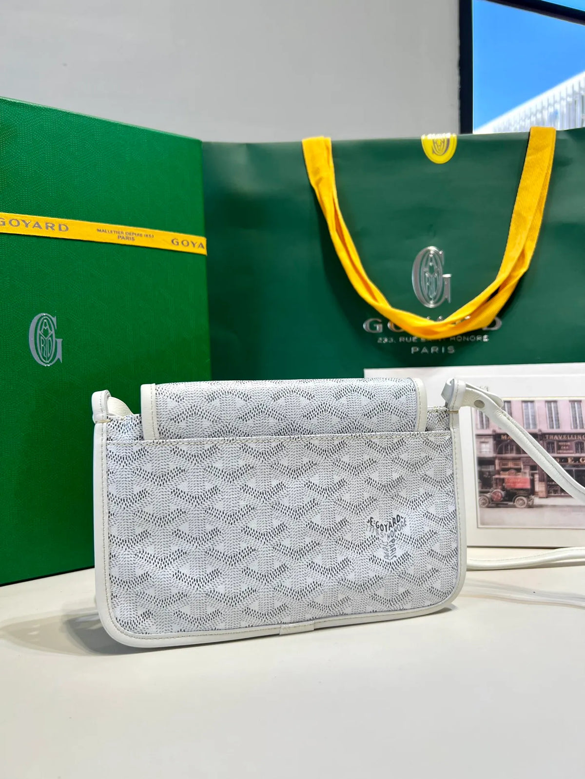 Goyard Plumet Envelope Bag Coated Canvas Leather 8015