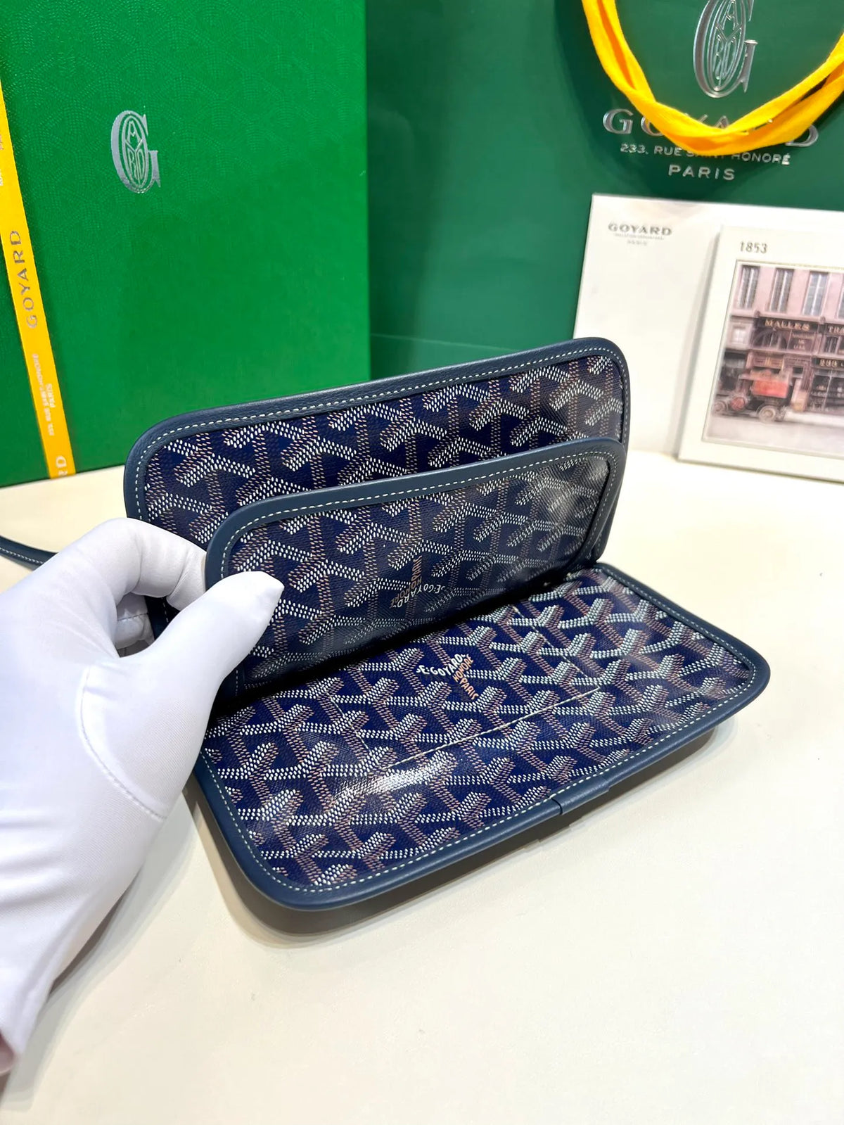 Goyard Plumet Envelope Bag Coated Canvas Leather 8015