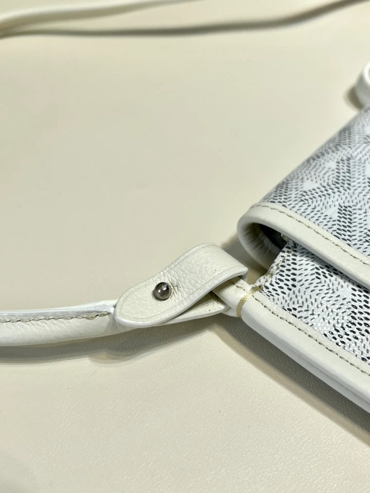 Goyard Plumet Envelope Bag Coated Canvas Leather 8015