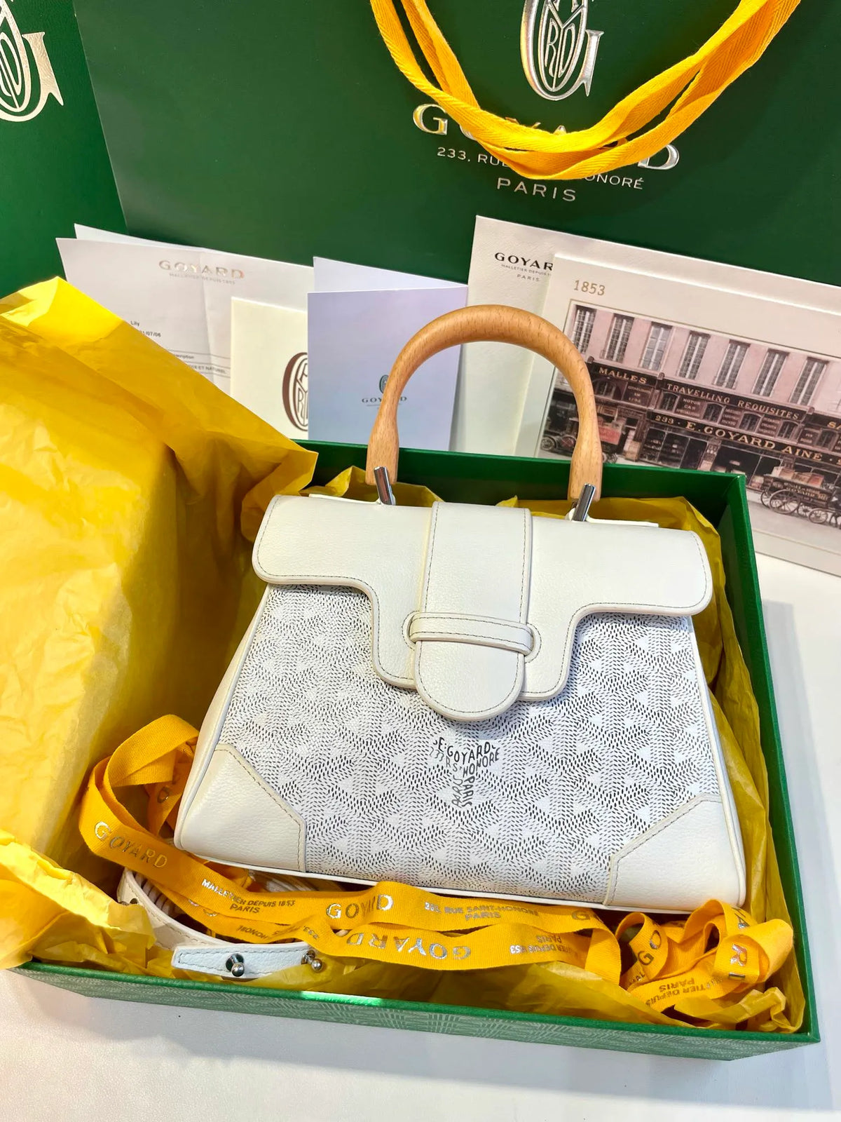 Goyard Saigon Mini Handbag Coated Canvas Leather 8005