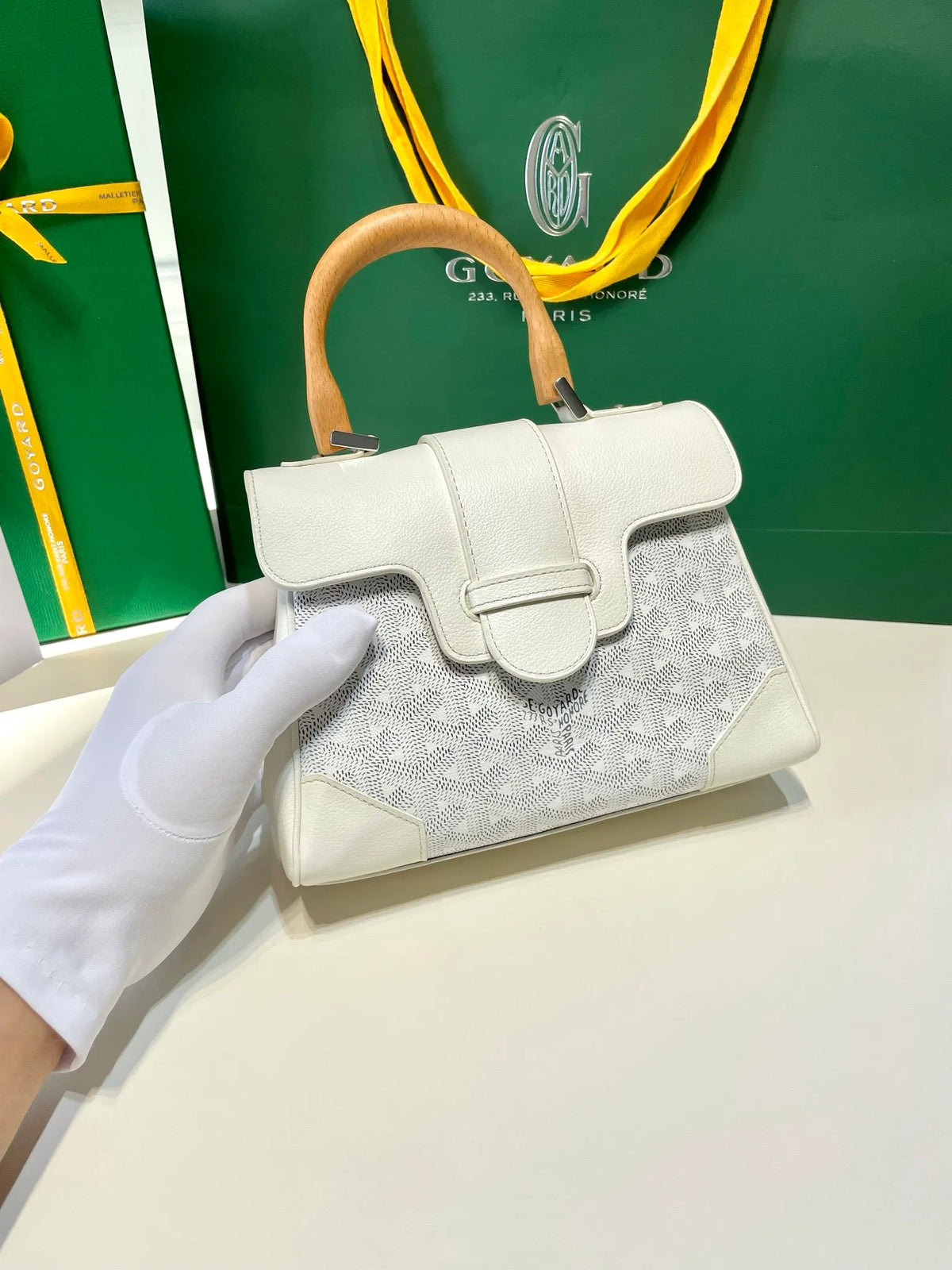 Goyard Saigon Mini Handbag Coated Canvas Leather 8005