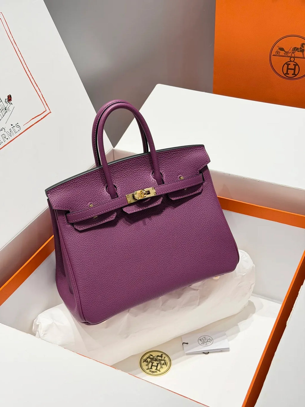 Hermès Birkin 25 Togo Leather Handbag Anemone Purple
