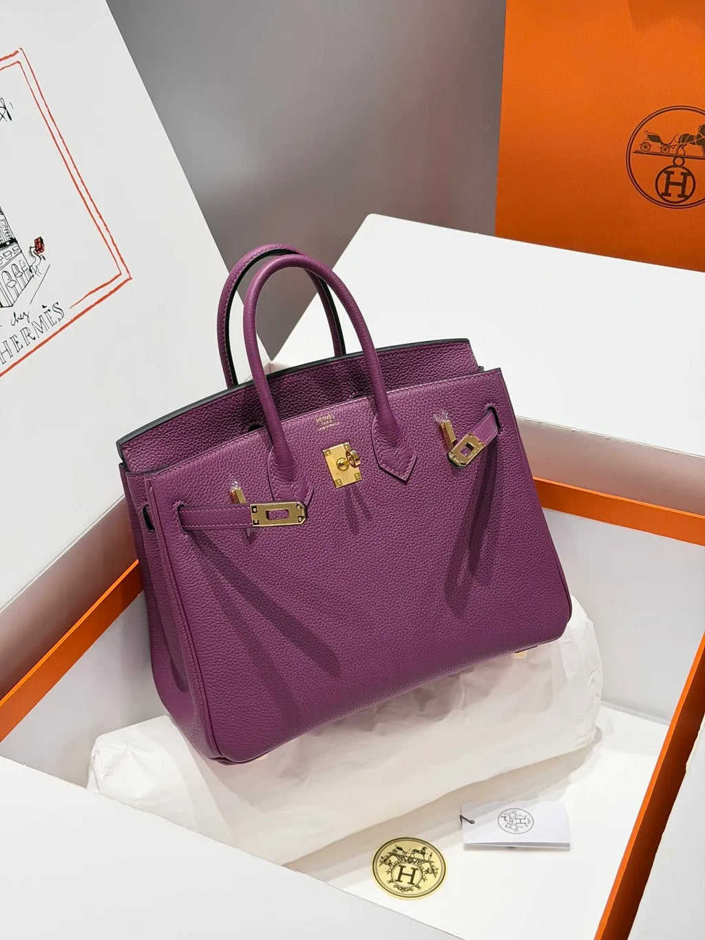 Hermès Birkin 25 Togo Leather Handbag Anemone Purple
