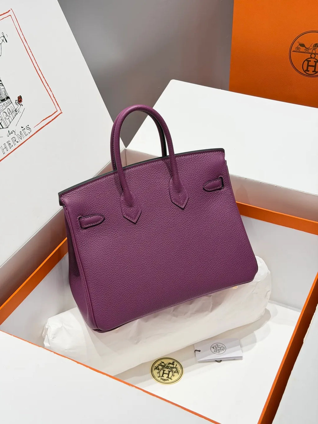Hermès Birkin 25 Togo Leather Handbag Anemone Purple