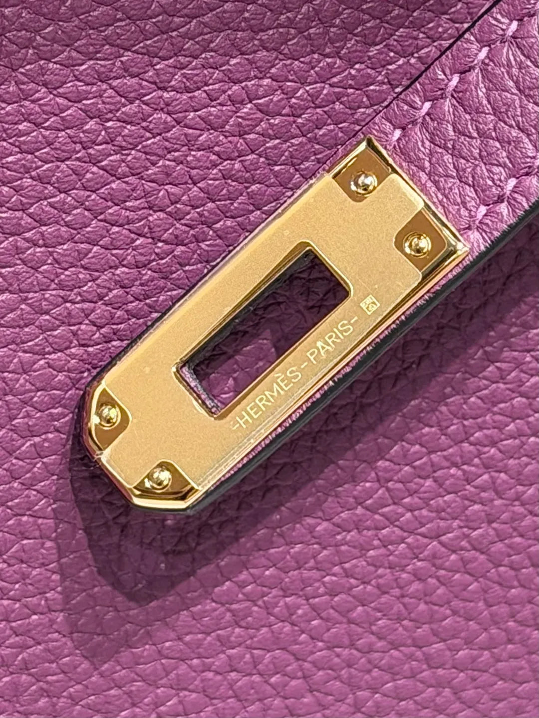Hermès Birkin 25 Togo Leather Handbag Anemone Purple