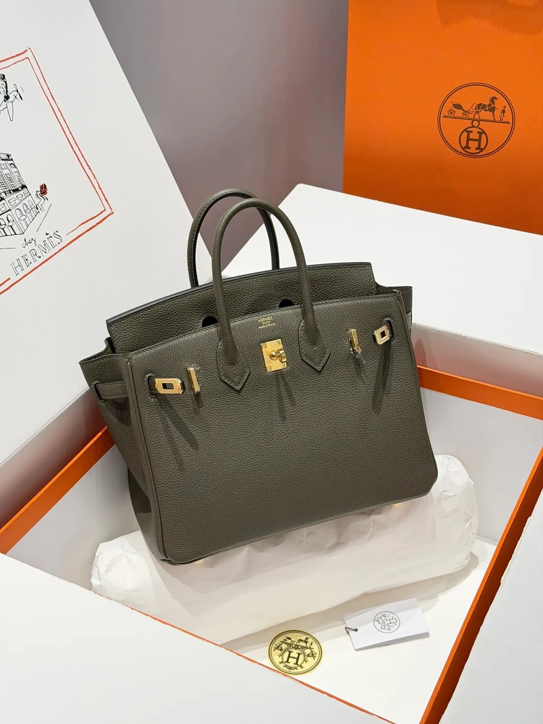 Hermès Birkin 25 Togo Leather Handbag Veronese Green