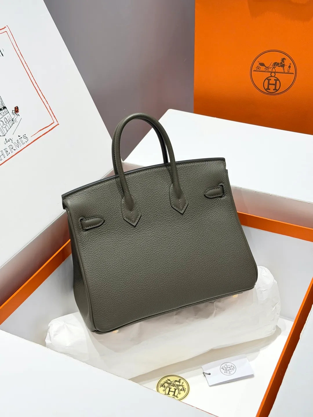 Hermès Birkin 25 Togo Leather Handbag Veronese Green