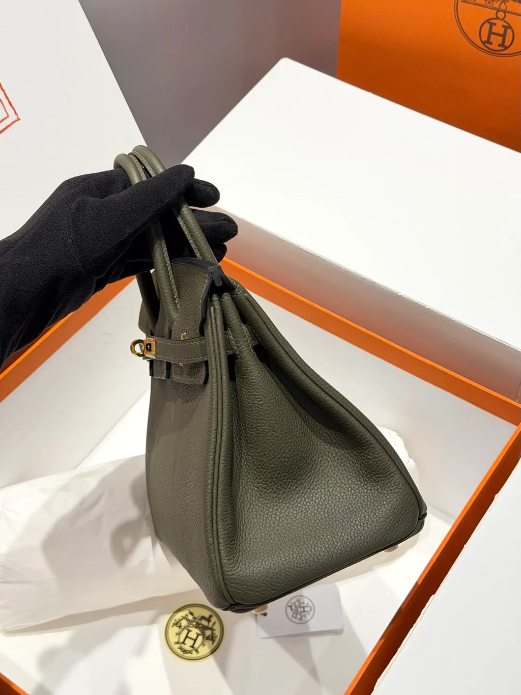 Hermès Birkin 25 Togo Leather Handbag Veronese Green