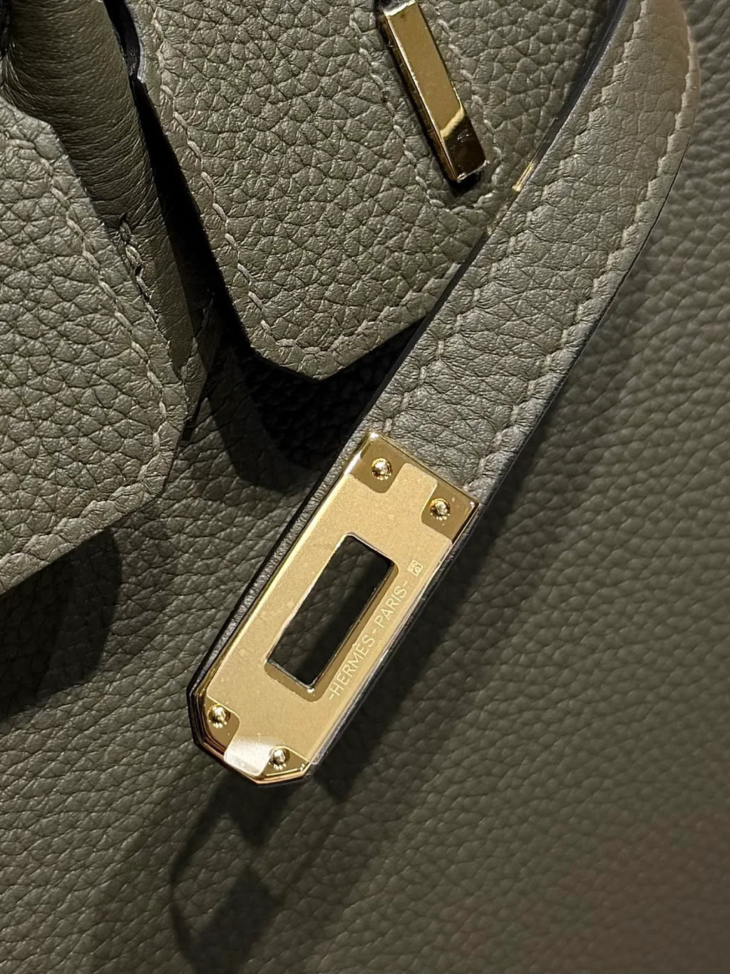 Hermès Birkin 25 Togo Leather Handbag Veronese Green