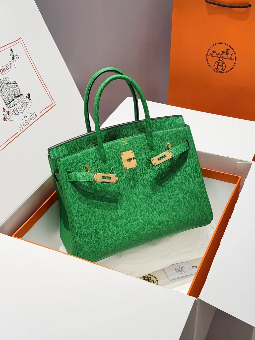 Hermès Birkin 30 Togo Leather Handbag Bamboo Green