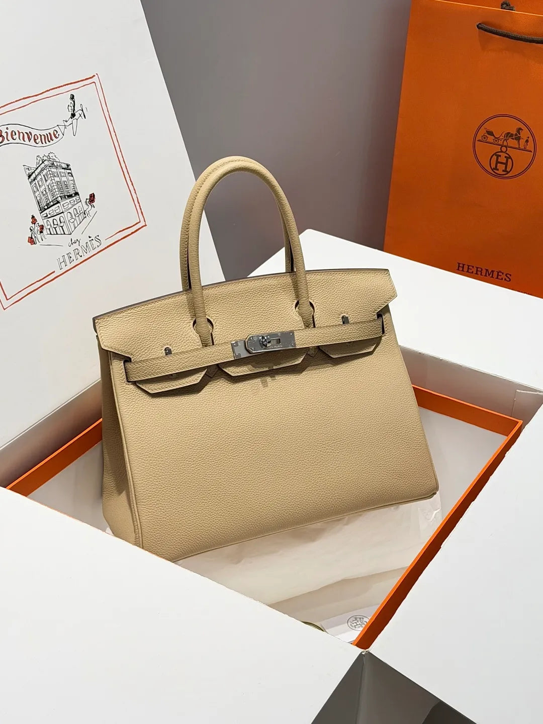 Hermès Birkin Togo Leather Handbag Trench S2