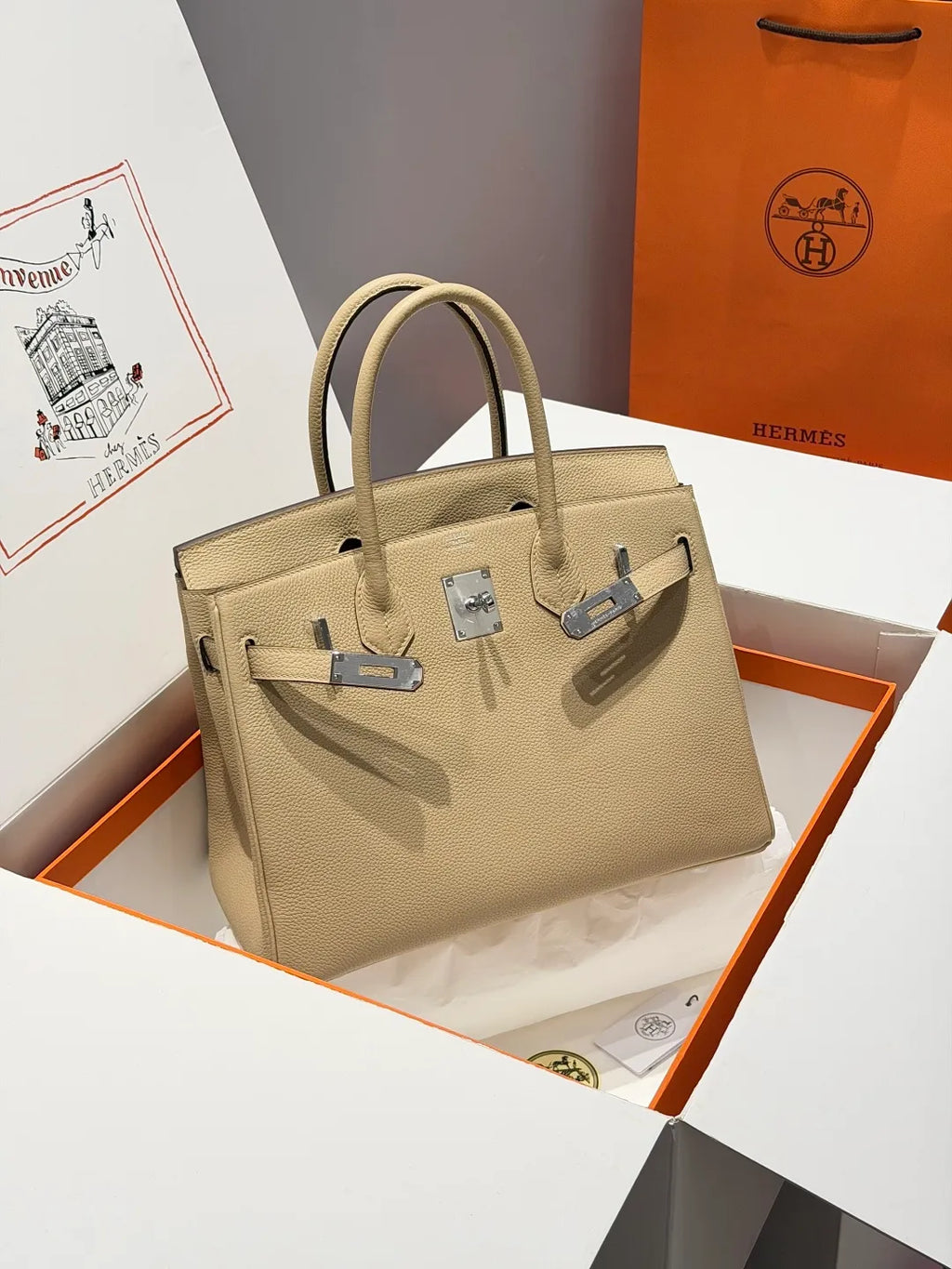Hermès Birkin Togo Leather Handbag Trench S2