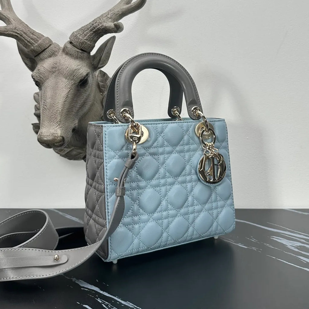Lady Dior 7.9 in Color Block Bag 6604