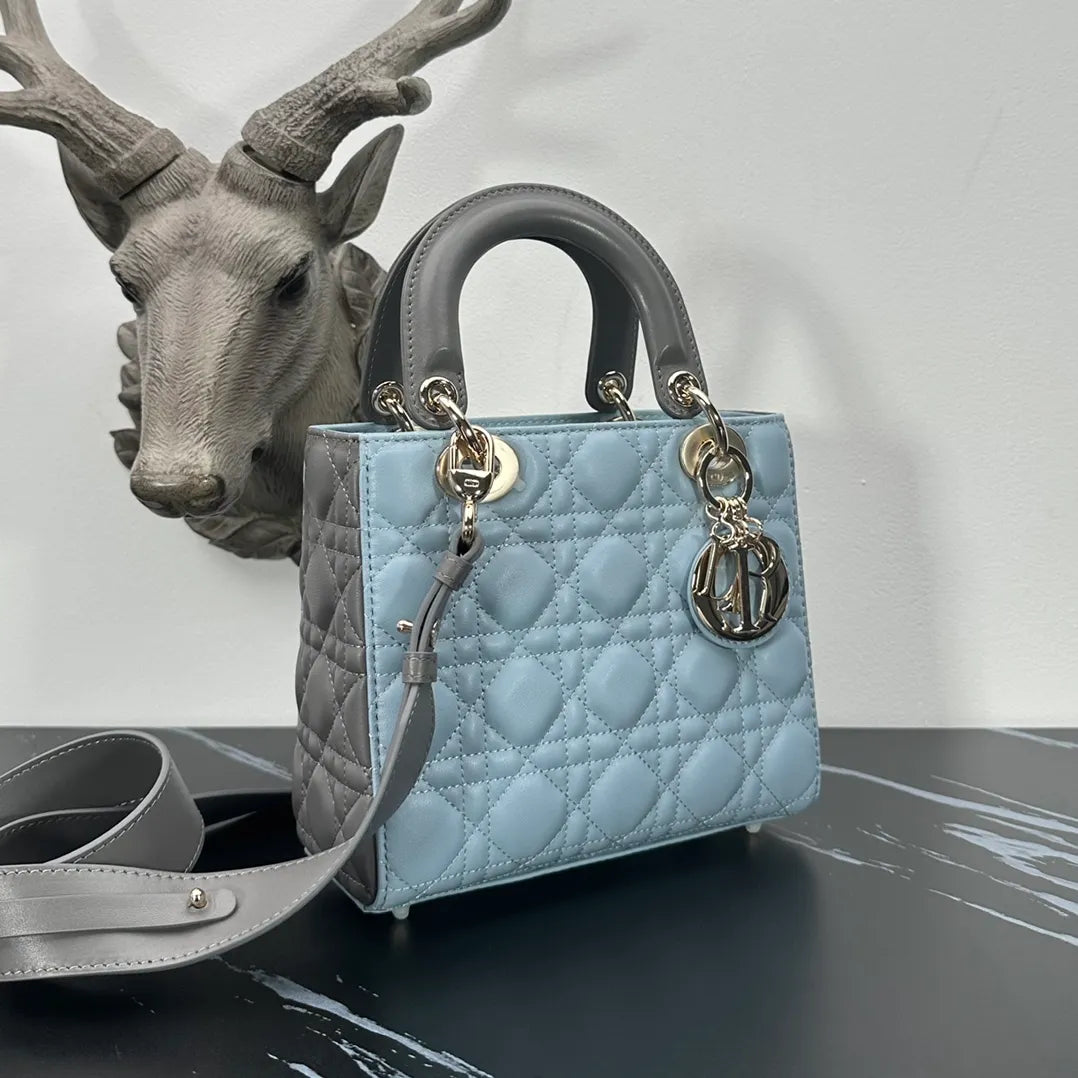 Lady Dior 7.9 in Color Block Bag 6604