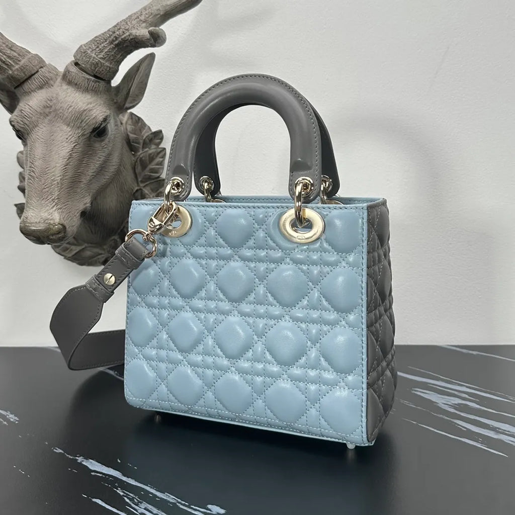 Lady Dior 7.9 in Color Block Bag 6604