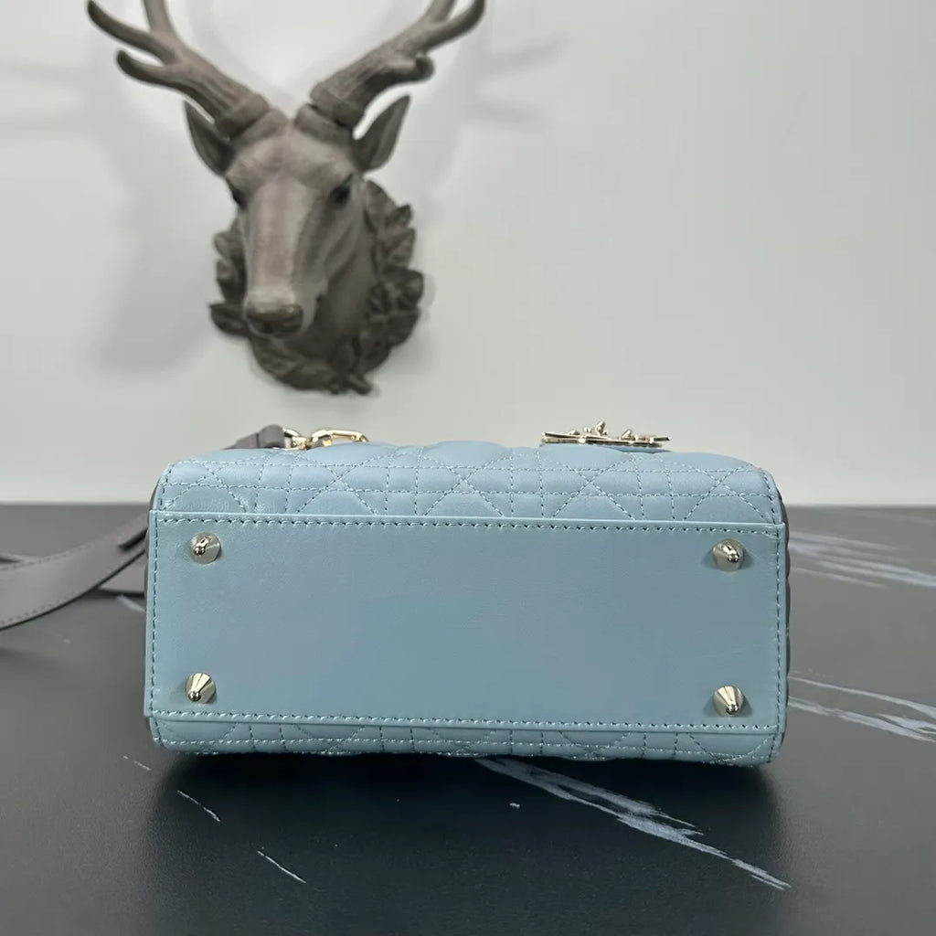 Lady Dior 7.9 in Color Block Bag 6604