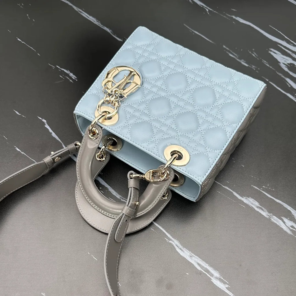 Lady Dior 7.9 in Color Block Bag 6604
