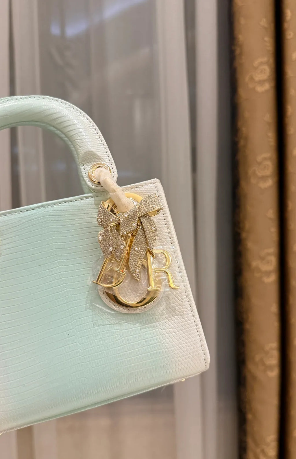 Lady Dior Lizard Skin Handbag 721168